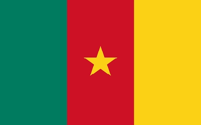 Make_Money_Online_in_Cameroon
