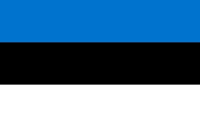 Make_Money_Online_in_Estonia