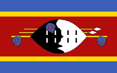 Make_Money_Online_in_Swaziland