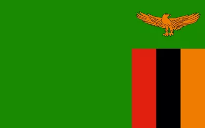 Make_Money_Online_in_Zambia